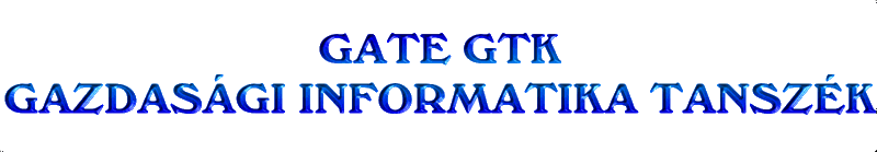 Gazdas&aacute;gi Informatika Tansz&eacute;k