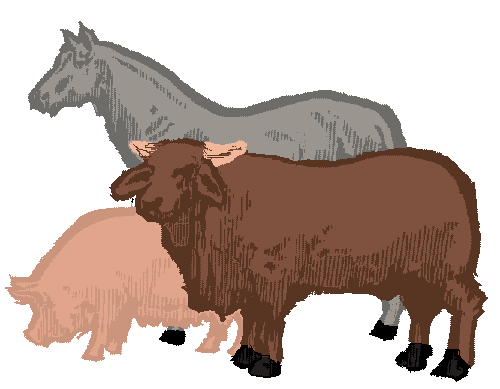 Teny&eacute;sztett &aacute;llatok adatb&aacute;zisa