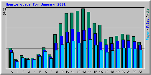 Hourly usage for January 2001