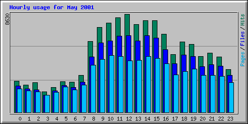 Hourly usage for May 2001